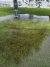 20260605_163937.jpg