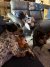 IMG_4108.jpeg