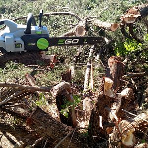 Clearing cedars - Ego 16" chainsaw
