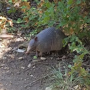 Northwest OHV TOR Meet June 2017 (15)