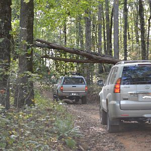 Ozarks High Watermark Trail 2017 042 - Resized