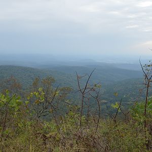 Ozarks High Watermark Trail 2017 096 - Resized