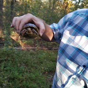 High Water Trail 2017  (6)