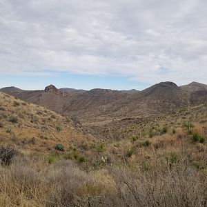 Road To Nowhere  (4)