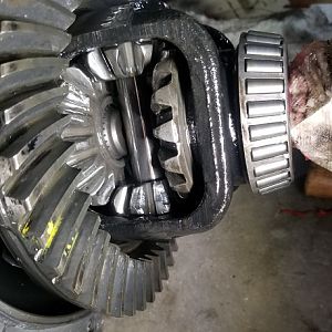 Missing teeth in spider gears