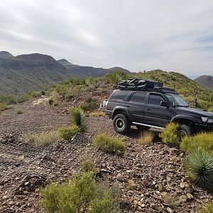 Big Bend Ranch SP 2018  (6)