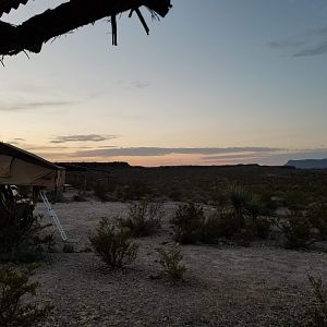 Received_273142756665566