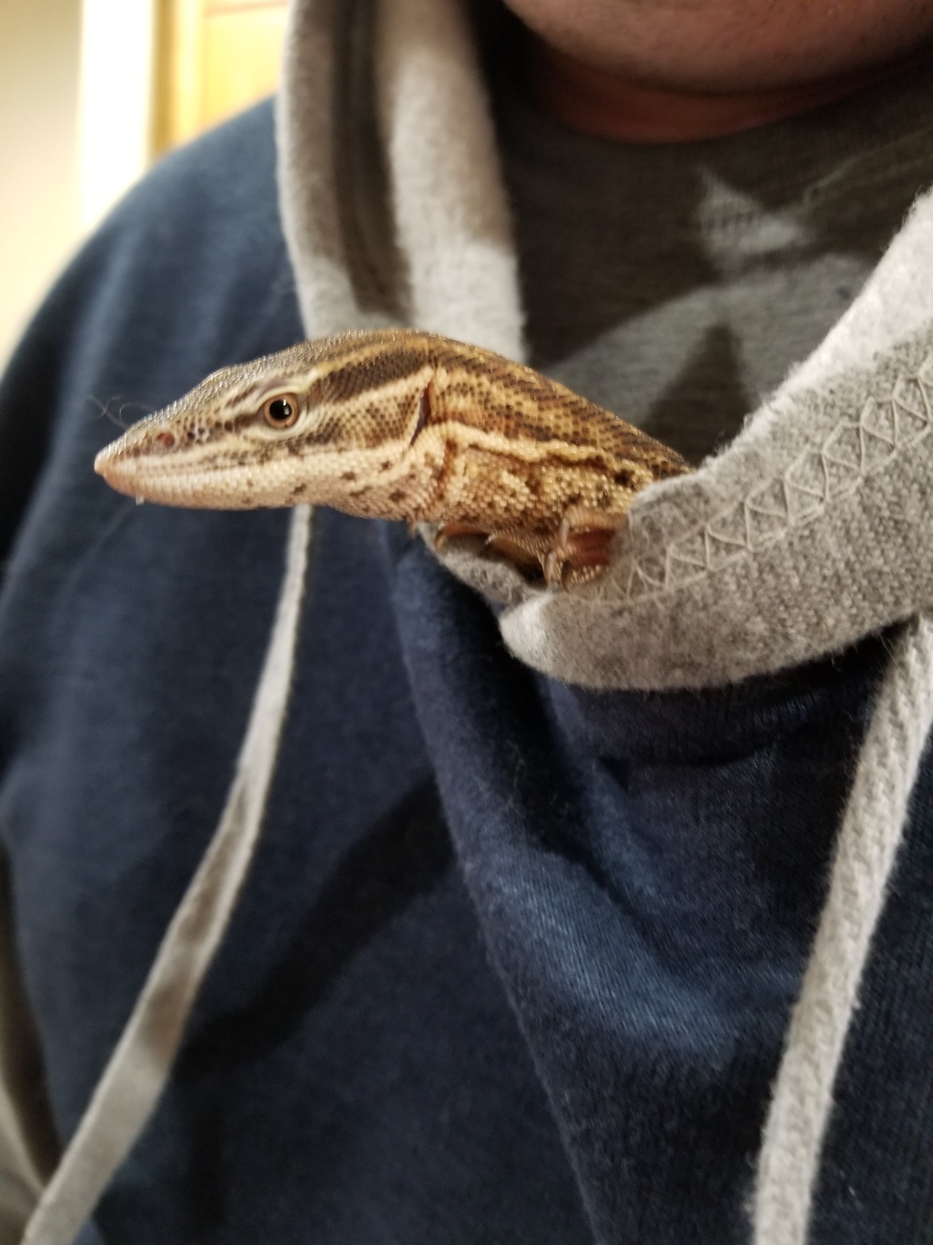 Ackie inside sweatshirt