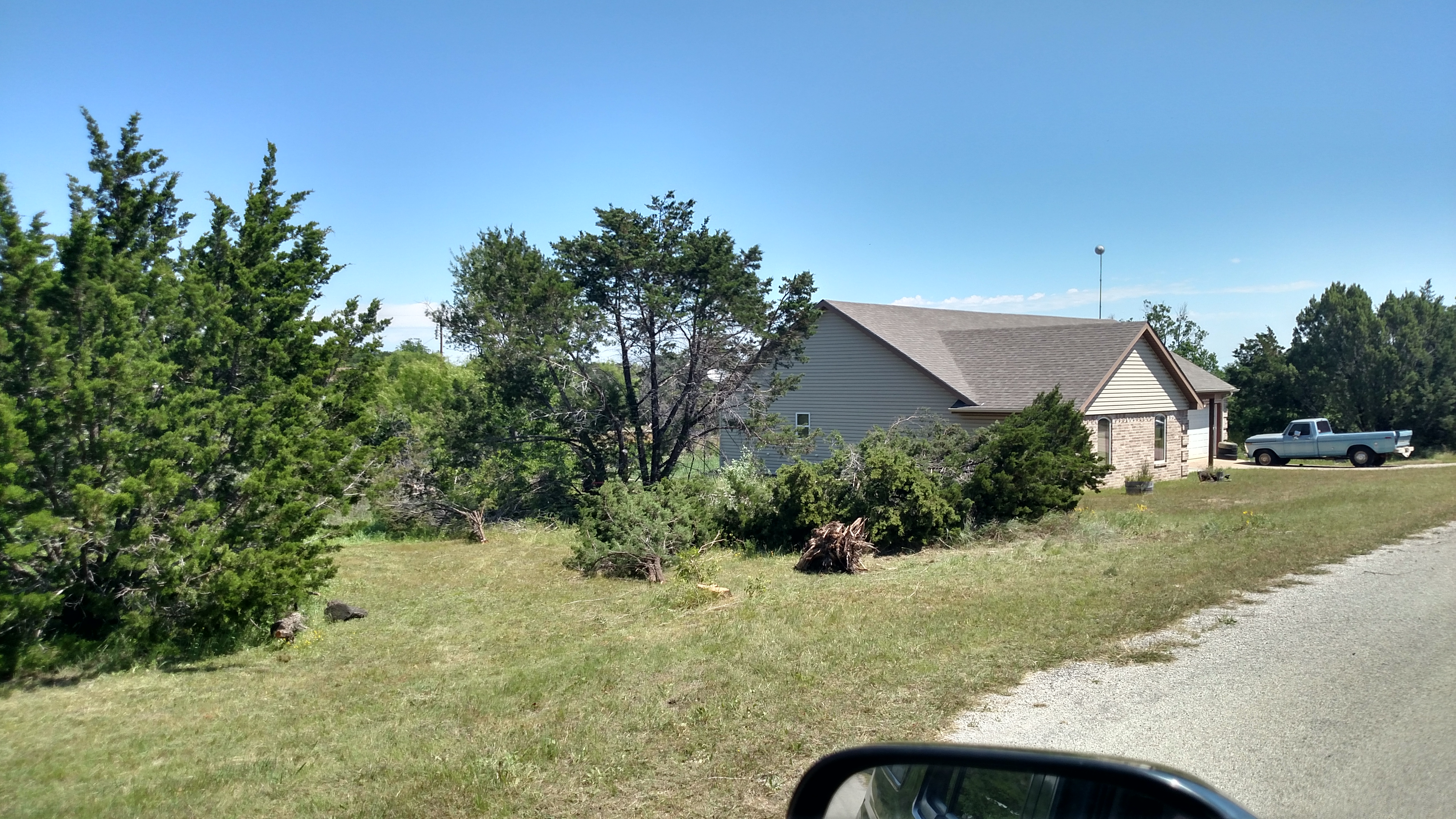 Clearing cedars- after