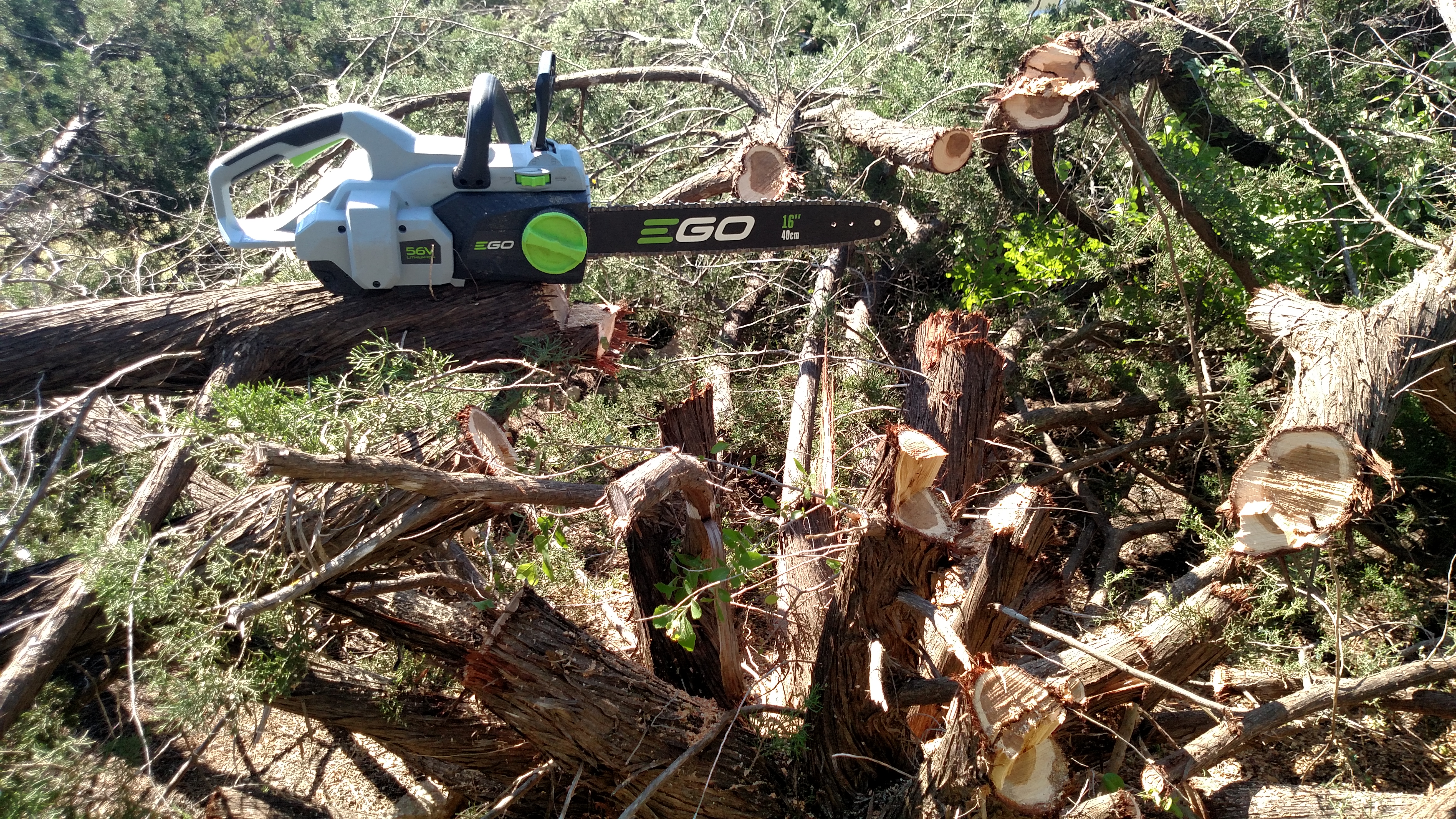 Clearing cedars - Ego 16" chainsaw