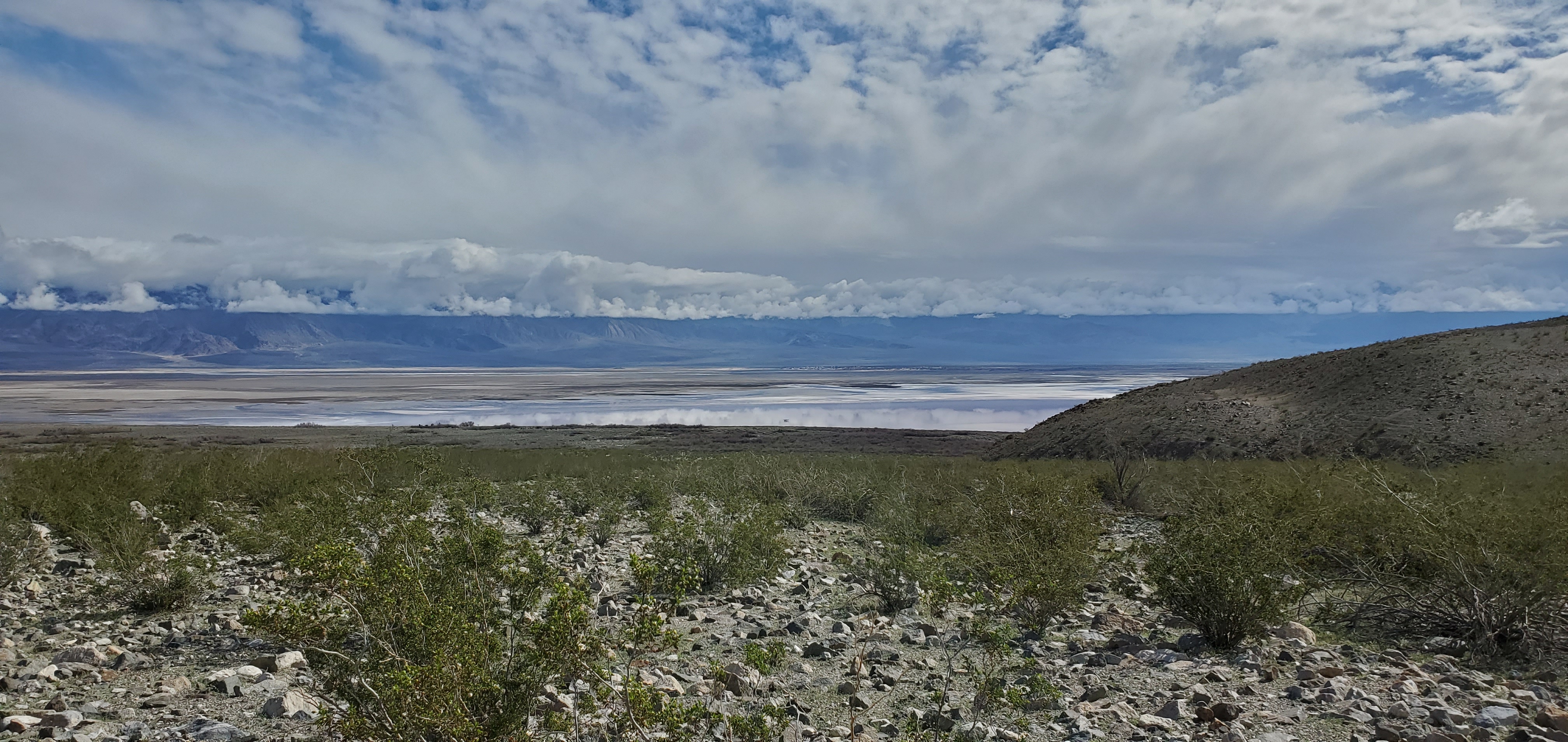 Death Valley 2020  (3)