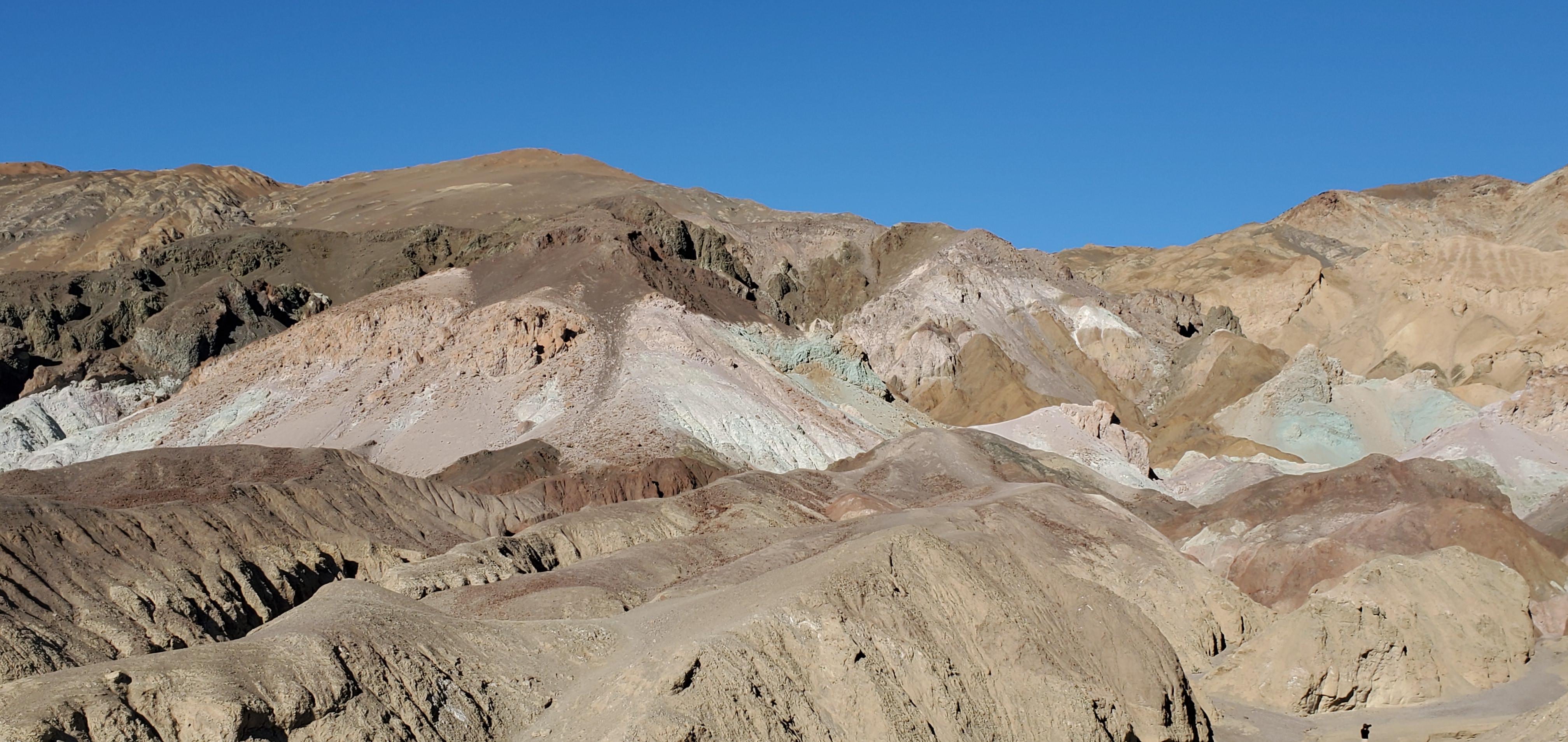 Death Valley 2020  (6)