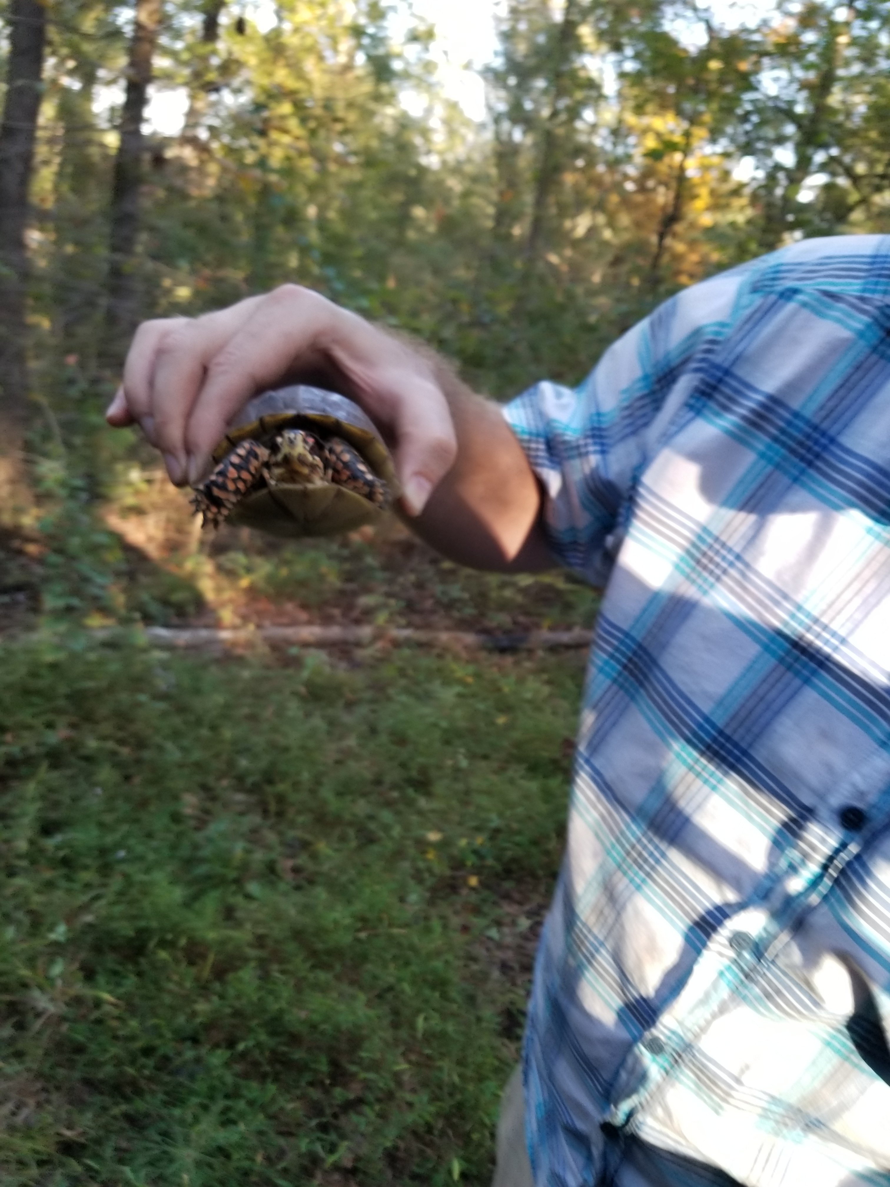 High Water Trail 2017  (6)