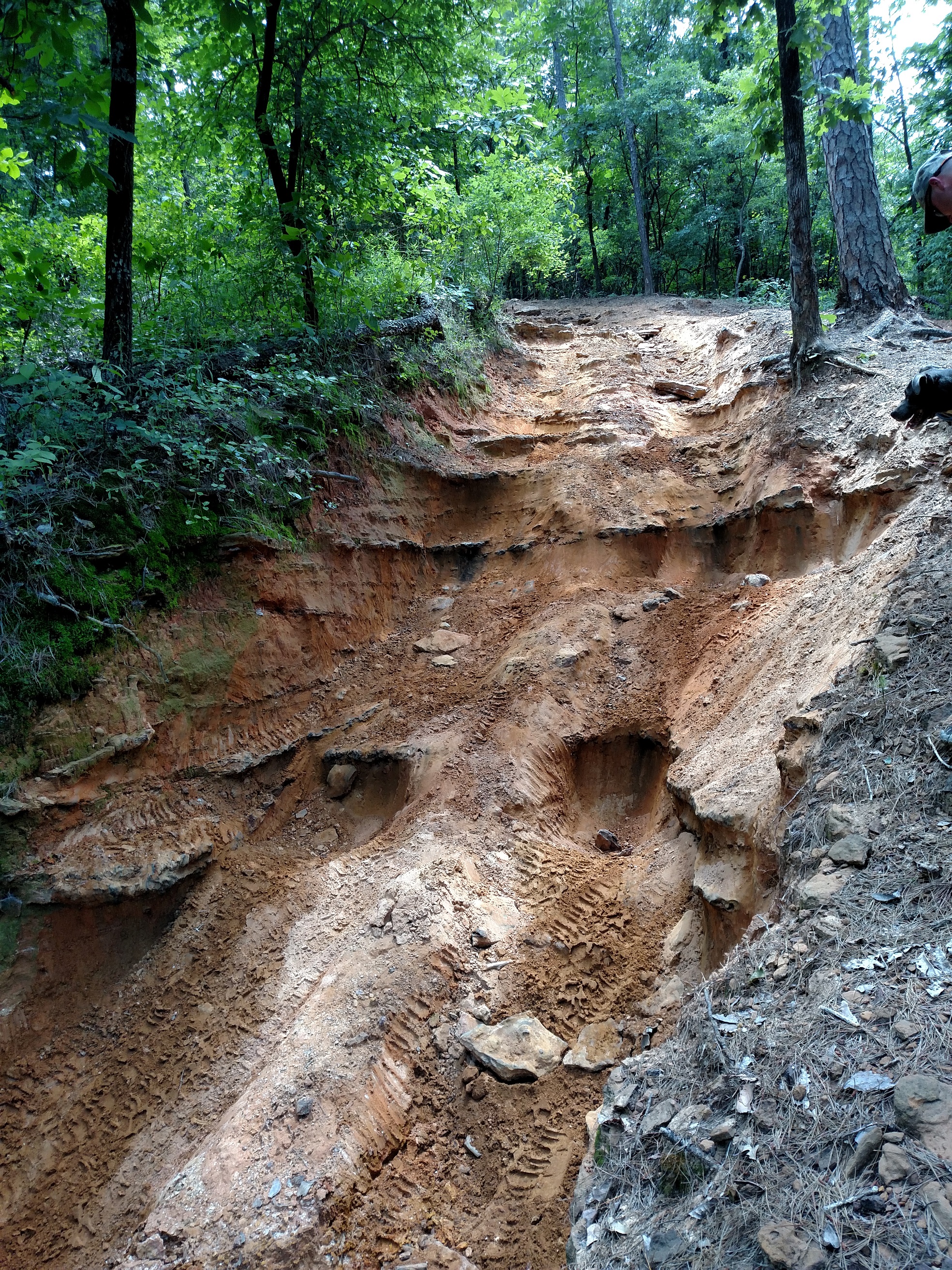 Lone Star Toyota Jamboree 2016 A (7)
