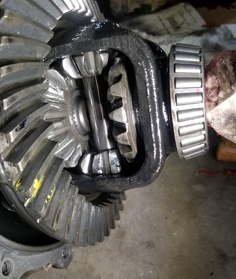 Missing teeth in spider gears