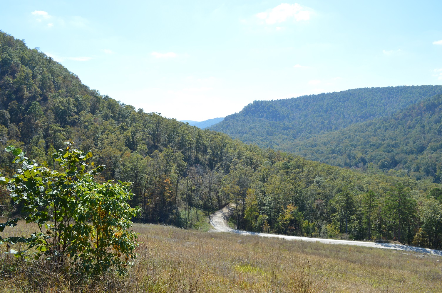 Ozarks High Watermark Trail 2017 028 - Resized