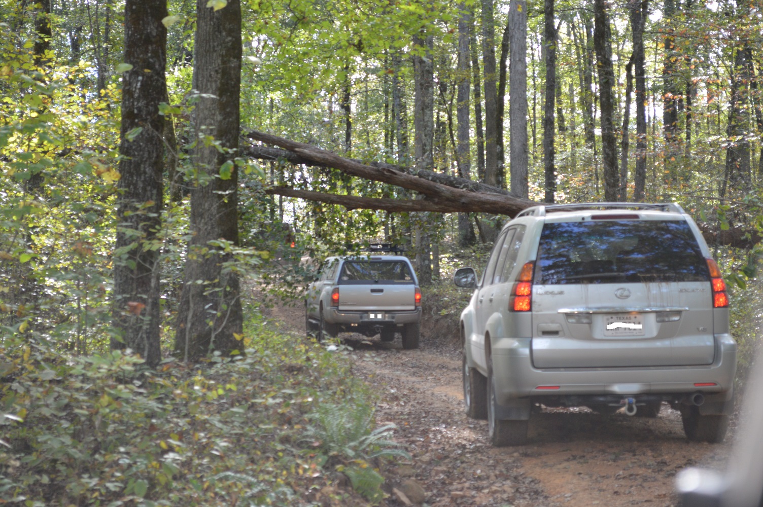 Ozarks High Watermark Trail 2017 042 - Resized