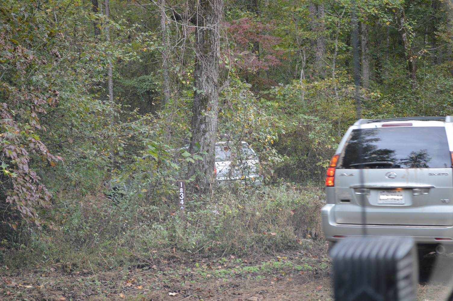 Ozarks High Watermark Trail 2017 064 - Resized