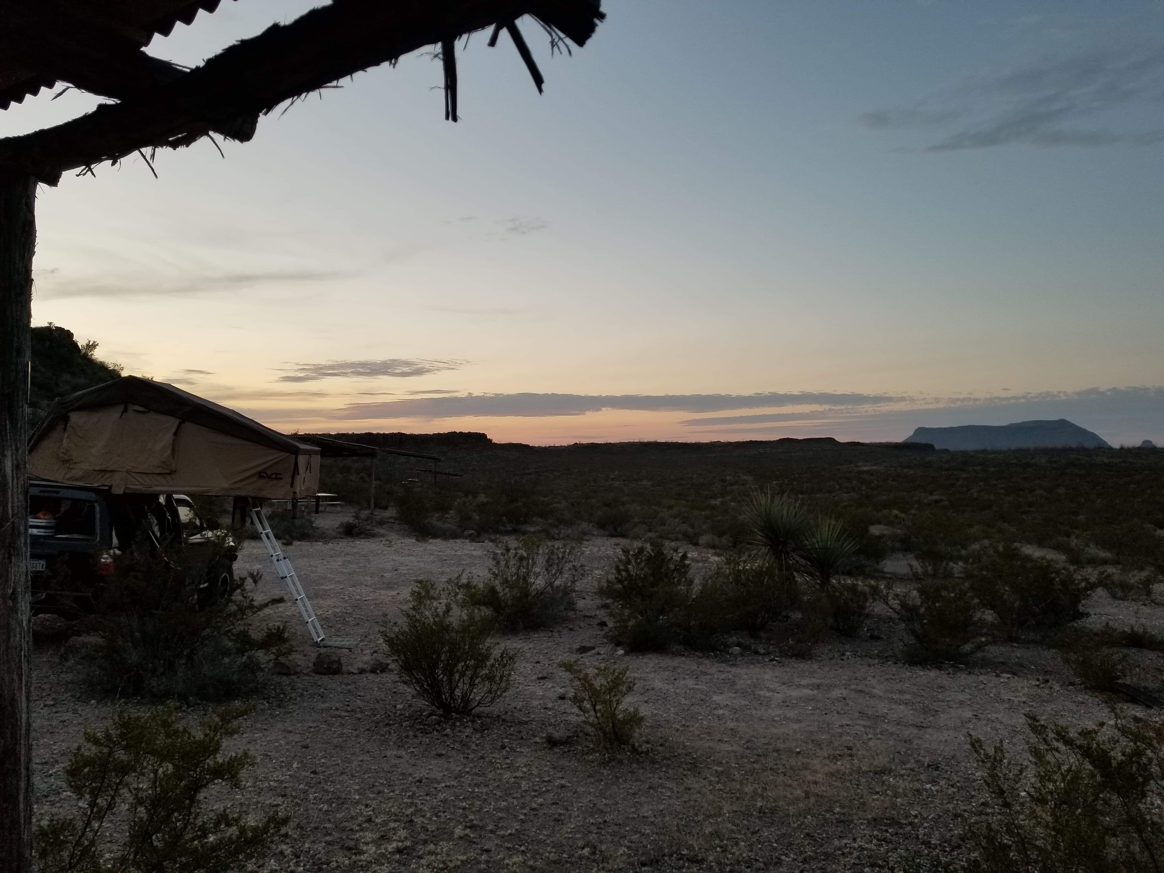 Received_273142756665566