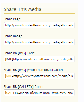 Share Media Links